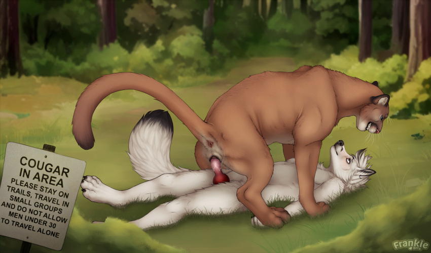 anatomically_correct anatomically_correct_genitalia anatomically_correct_pussy animal_genitalia animal_penis animal_pussy anthro anthro_on_feral anthro_penetrating anthro_penetrating_feral anus bestiality canid canine canine_genitalia canine_penis canis cougar dominant dominant_female dominant_feral duo english_text felid feline feline_genitalia feline_pussy female female_on_top fenn.perrox feral feral_on_top feral_penetrated forest fur genitals grin interspecies knot lying male male/female mammal nature on_back on_top penetration penis pinned pinned_to_ground plant pussy sex sign smile submissive submissive_female tan_body tan_fur text tree whiskers white_body white_fur wolf