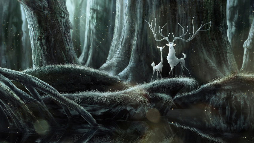 albino amazing_background antlers cervine dark_theme deer detailed_background duo female forest fur grass horn lake male mammal naomi_chen reflection sunbeam tree water white_fur