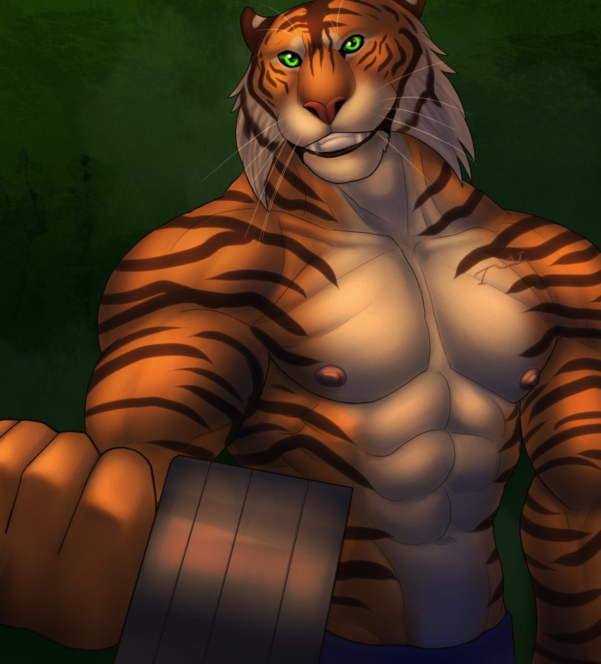 2017 abs anthro clothed clothing digital_media_(artwork) dumbbell exercise feline fur hi_res male mammal marsel-defender muscular muscular_male nipples pecs tiger topless weightlifting weights workout