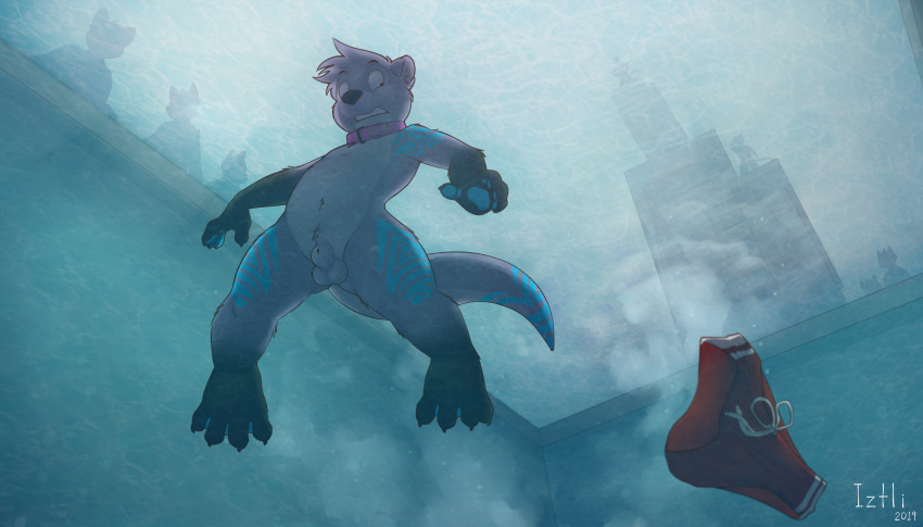 2019 anthro being_watched collar digital_media_(artwork) diving fur iztli male male/male mammal mustelid nude otter pool_(disambiguation) public ritt_(character) shocked solo swimming