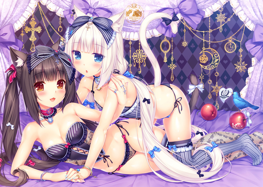 :3 :d :o all_fours animal animal_ears anniversary apple argyle argyle_background bangs bare_shoulders bed_sheet bell bird black_bow blue_bow blue_nails blunt_bangs blush bow bow_panties bracelet breasts brown_eyes brown_hair cat_ears cat_tail chain chocola_(sayori) choker collarbone cross eyebrows_visible_through_hair fishnet_legwear fishnets food frilled_panties frills fruit hair_bow hand_around_neck hand_on_another's_shoulder heart highres holding_hand jewelry jingle_bell lingerie long_hair looking_at_viewer lying medium_breasts multiple_girls nail_polish nekopara non-web_source official_style on_bed on_side open_mouth panties pink_bow pink_nails ring sayori shiny shiny_skin side-tie_panties small_breasts smile striped striped_bow striped_legwear tail tail_bow twintails underwear underwear_only vanilla_(sayori) vertical-striped_legwear vertical_stripes very_long_hair white_bow white_hair yuri