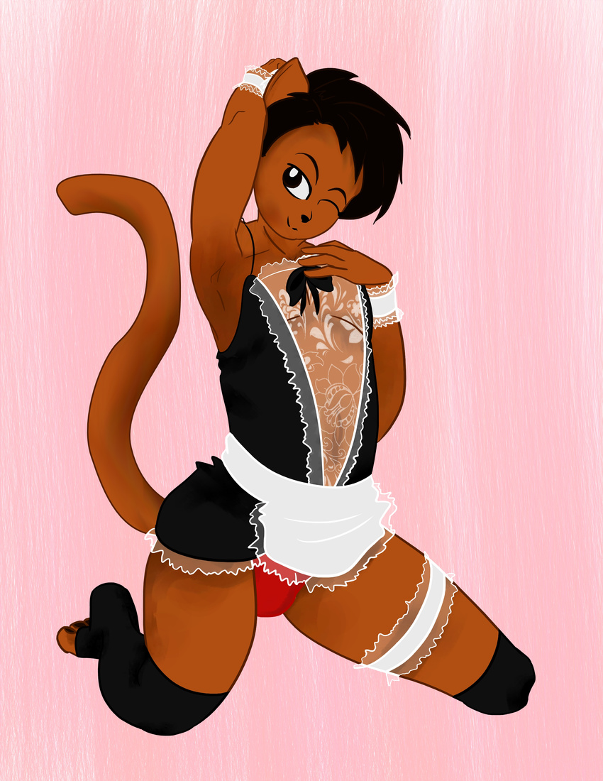 anthro brown_eyes brushcat bulge cat clothed clothing feline girly legwear maid_uniform male mammal pauline_(brushcat) uniform