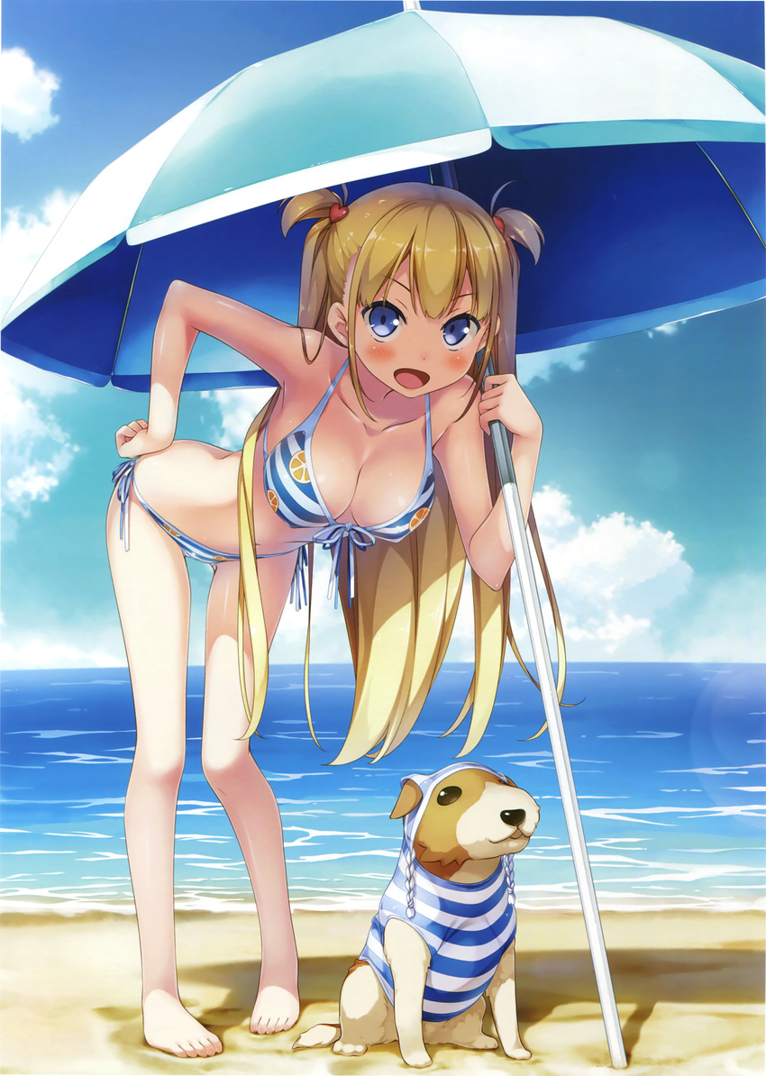 :d absurdres alice_third_macy animal bare_legs barefoot beach beach_umbrella bent_over bikini blonde_hair blue_eyes blush breasts cleavage clothed_animal collarbone cropped day dog front-tie_top full_body hand_on_hip highres kantoku koi_suru_kanojo_no_bukiyou_na_butai lens_flare long_hair looking_at_viewer medium_breasts navel open_mouth outdoors pigeon-toed side-tie_bikini smile solo striped striped_bikini striped_swimsuit swimsuit two_side_up umbrella very_long_hair