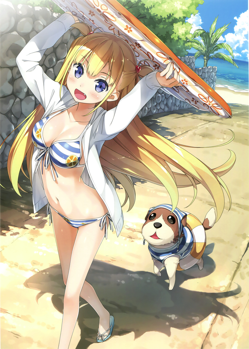 :d absurdres alice_third_macy arms_up bare_legs beach bikini blue_eyes breasts cleavage day dog fang flip-flops front-tie_bikini front-tie_top highres innertube jacket kantoku koi_suru_kanojo_no_bukiyou_na_butai long_sleeves medium_breasts navel open_clothes open_jacket open_mouth outdoors sandals side-tie_bikini sleeves_past_wrists smile solo striped striped_bikini surfboard swimsuit two_side_up