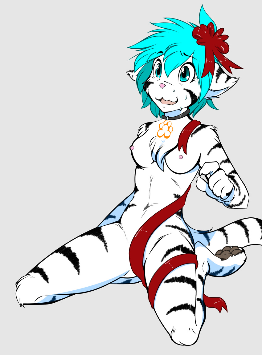 alternate_species anthro blue_eyes blue_hair breasts collar collar_of_keidranification collar_tag color_edit colored convenient_censorship crossgender digitigrade edit featureless_crotch feline female fur hair keidran kneeling mammal nervous nude pose ribbons solo striped_fur stripes sweat tiger tiger_trace tom_fischbach twokinds webcomic white_fur