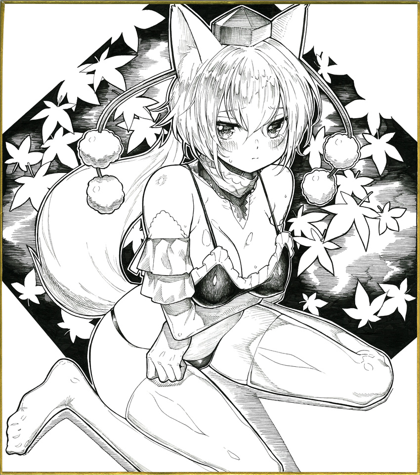 animal_ears bangs bare_shoulders bikini breast_hold breasts cleavage crossed_arms detached_sleeves graphite_(medium) greyscale hat highres inubashiri_momiji leaf looking_at_viewer mechanical_pencil medium_breasts millipen_(medium) monochrome oshake pencil pom_pom_(clothes) shikishi sitting solo swimsuit tail thighhighs tokin_hat touhou traditional_media wariza wolf_ears wolf_tail