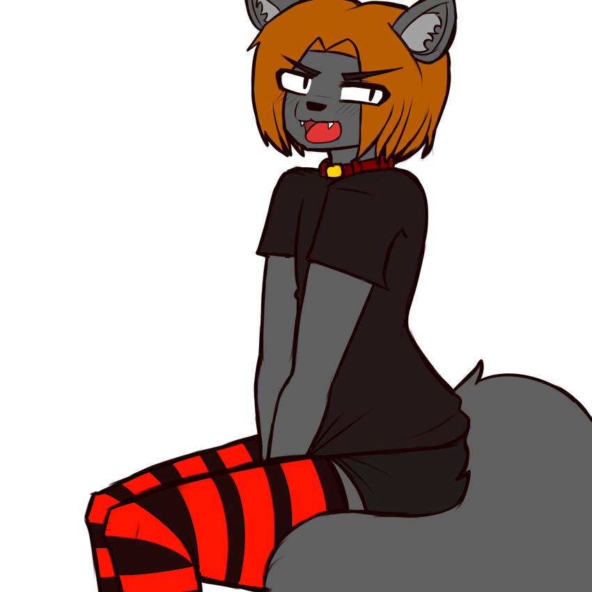 ambiguous_gender angry anthro black_clothing blush canine clothed clothing collar datfurrydude hair legwear mammal open_mouth orange_hair shirt short_pants simple_background sitting slit_pupils solo stockings striped_legwear striped_stockings stripes thick_tail thick_thighs tongue white_background wolf