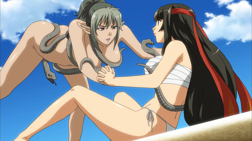 2girls beach black_hair blush breasts brown_eyes echidna elf green_hair large_breasts multiple_girls navel purple_eyes queen's_blade screencap sky snake tomoe