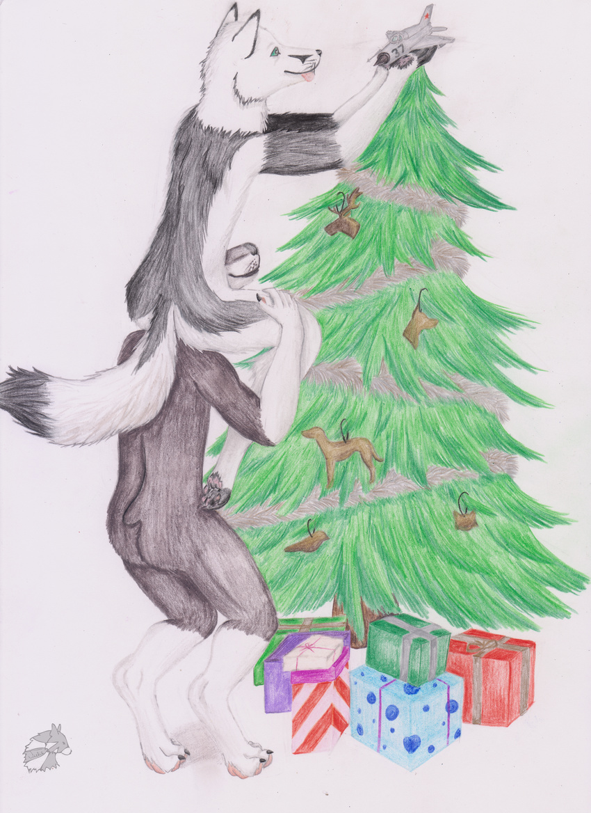 2017 anthro canine christmas christmas_tree claws dipstick_tail doberman dog duo fox gift gloves_(marking) green_eyes hi_res holding_object holidays male mammal markings multicolored_tail nude on_shoulders pawpads simple_background socks_(marking) standing toe_claws tongue tongue_out tree white_background yenza