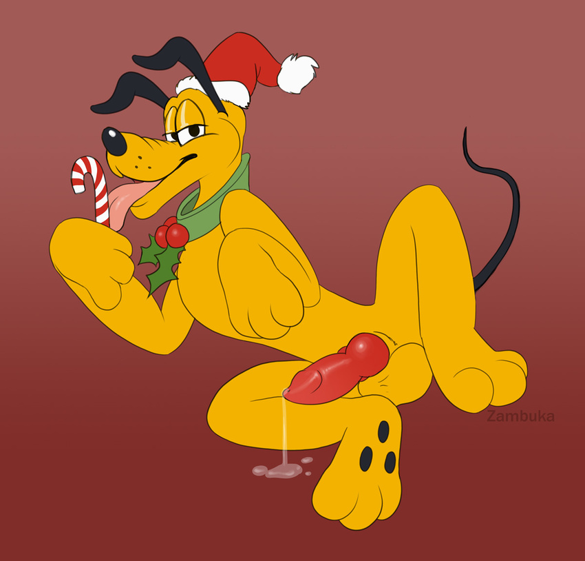 animal_genitalia animal_penis balls candy candy_cane canine canine_penis christmas disney dog erection food hat holidays knot licking male mammal penis pluto_(disney) santa_hat solo tongue tongue_out zambuka