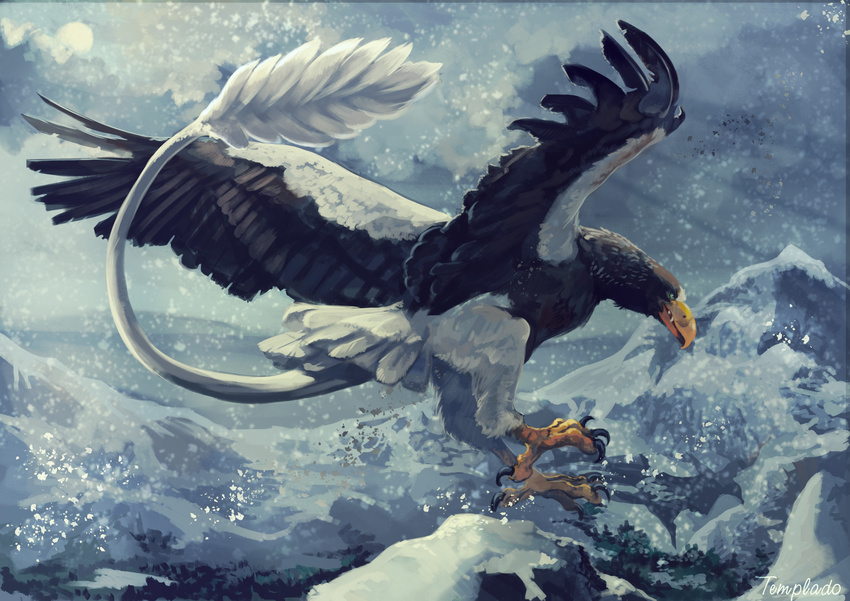 ambiguous_gender avian beak bird black_feathers claws feathered_wings feathers feral flying hawk hybrid mountain outside sharp_teeth snow snowing solo spread_wings tail_feathers teeth templado toothed_bird tufted_tail white_feathers wings