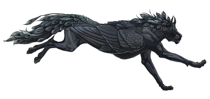 alpha_channel ambiguous_gender avian bird black_feathers black_fur blue_eyes claws ear_piercing feathered_wings feathers feline feral fur mammal melanistic peafowl piercing running side_view simple_background solo tail_feathers templado transparent_background wings