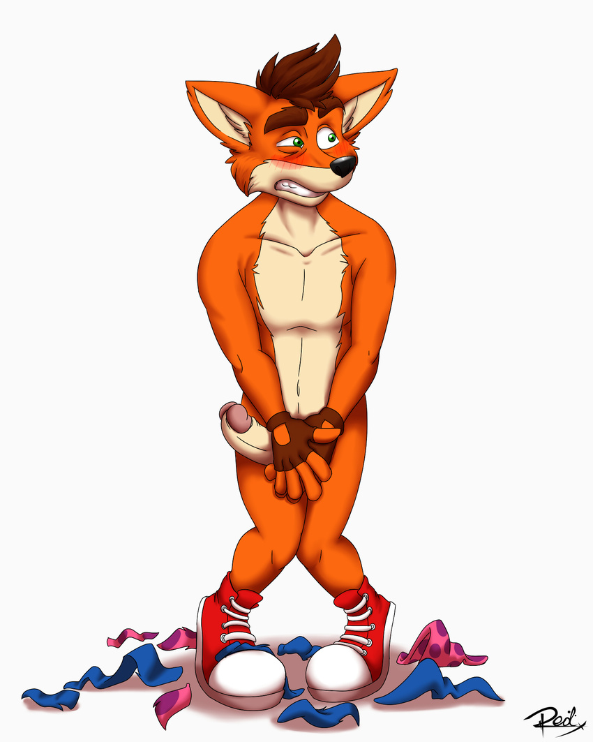 anthro bandicoot blush boxers_(clothing) chest_tuft clothing crash_bandicoot crash_bandicoot_(series) erection inner_ear_fluff male mammal marsupial nude penis red_lynx solo tuft underwear unwanted_erection video_games