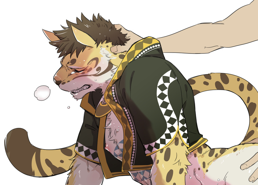 anthro clothing clouded_leopard eyes_closed feline forced from_behind_position fur hair head_grab human human_on_anthro interspecies likulau male male/male mammal nekojishi nipples panting rape sex spots stripes sweat tattoo tears 麻尾