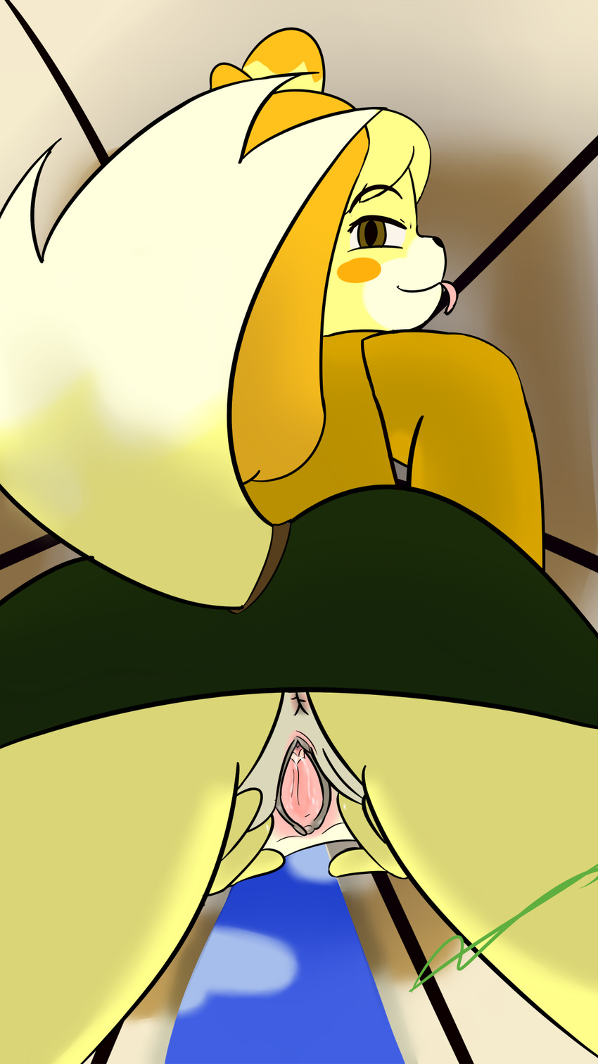 animal_crossing animal_crossing_pocket_camp anus canine dog female isabelle isabelle_(animal_crossing) kamperkiller_(artist) low-angle_view mammal nintendo pussy pussy_juice spread_pussy spreading tongue tongue_out video_games