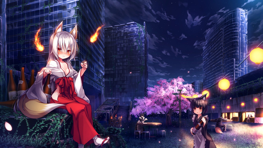 4girls :o alcohol animal_ears apron bangs black_footwear black_hair black_kimono black_pants black_shirt black_skirt blush bottle breasts brown_eyes building cherry_blossoms choko_(cup) closed_mouth cloud commentary_request cup eyebrows_visible_through_hair fire fox_ears fox_girl fox_tail hair_between_eyes hakama holding holding_bottle holding_cup holding_plate japanese_clothes kimono lantern long_sleeves looking_at_viewer maid_apron miko multiple_boys multiple_girls night night_sky nose_blush original outdoors pants paper_lantern parted_lips petals plate red_eyes red_hakama sake sake_bottle shirt short_kimono sideboob silver_hair sitting skirt sky skyscraper small_breasts smile socks stool tabi table tail tree wa_maid white_apron white_legwear wide_sleeves wiping yuku_(kiollion) zouri