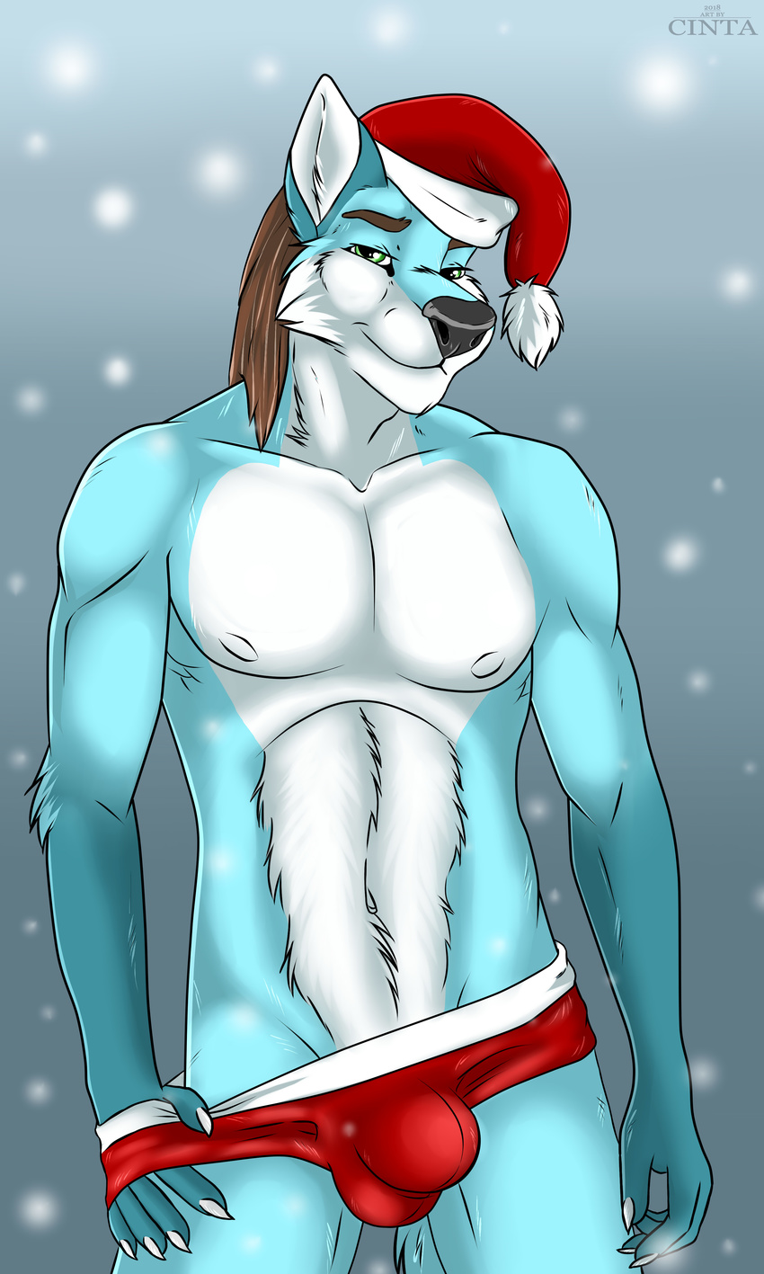 2018 5_fingers absurd_res anthro athletic black_nose blue_fur blurred_background brown_hair bulge canine christmas cinta clothing eyebrows fox fur green_eyes hair hat hi_res holidays looking_at_viewer male mammal multicolored_fur nipples removing_underwear santa_hat smile snow snowing solo standing teasing two_tone_fur underwear white_fur winter