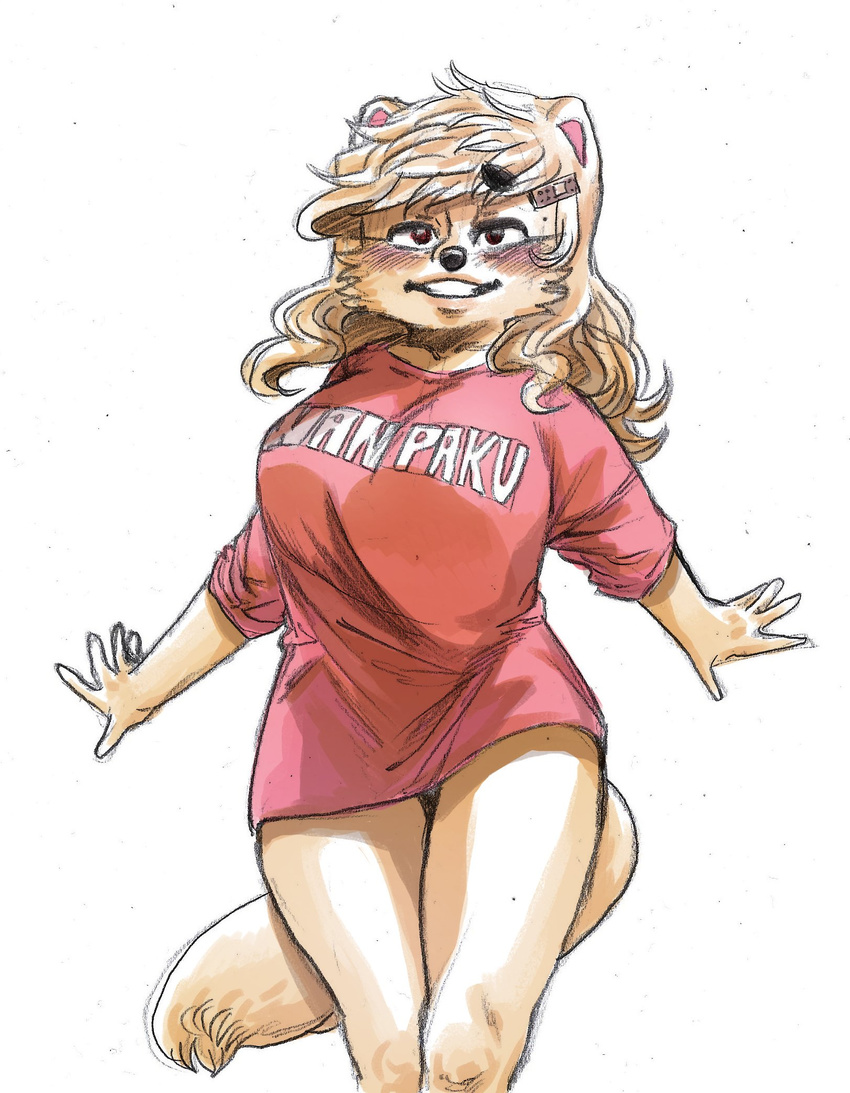 2017 5_fingers anthro big_breasts biped black_nose blush bottomless breasts brown_eyes canine cheek_tuft clothed clothing digital_media_(artwork) digital_painting_(artwork) dog english_text eyelashes female fluffy fluffy_tail front_view fur guide_lines hair hair_accessory hairclip half-closed_eyes happy hi_res humanoid_hands hybrid jindo kemono kishu_inu korean long_hair long_tail mammal mixed_media oversized_clothing oversized_shirt pink_clothing pink_topwear portrait ryonggay shadow shirt simple_background small_waist smile solo spread_arms standing text three-quarter_portrait traditional_media_(artwork) tuft voluptuous white_background white_fur white_hair white_tail yong-sil_(ryonggay)