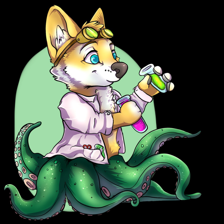 canid canine canis cecaelia cephalopod chibi corgi domestic_dog lab_coat mammal marine mollusk multifur octomaid octopus potion tentacles thorginunya