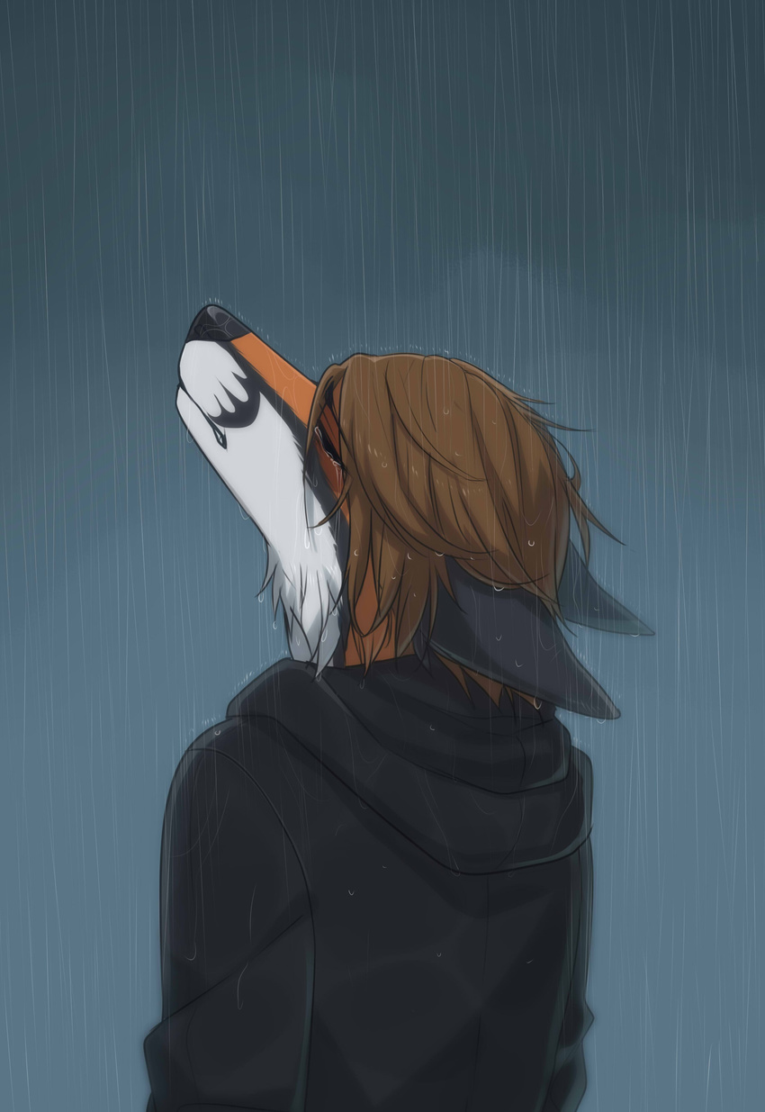 2017 anthro black_fur black_nose brown_hair canine clothed clothing crying dark depression egsaku_(character) fox fully_clothed fur grey_background hair hi_res hoodie male mammal multicolored_fur orange_fur raining simple_background solo standing tears two_tone_fur viskasunya water wet white_fur