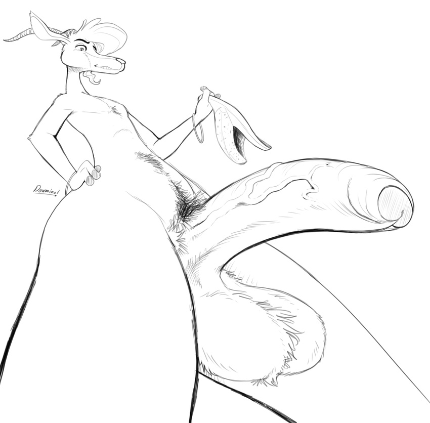 antelope anthro antlers balls big_penis clothing crossgender dawmino disney gazelle gazelle_(zootopia) greyscale half-erect hi_res horn humanoid_penis low-angle_view male mammal monochrome nude penis pubes smile solo standing uncut underwear vein zootopia