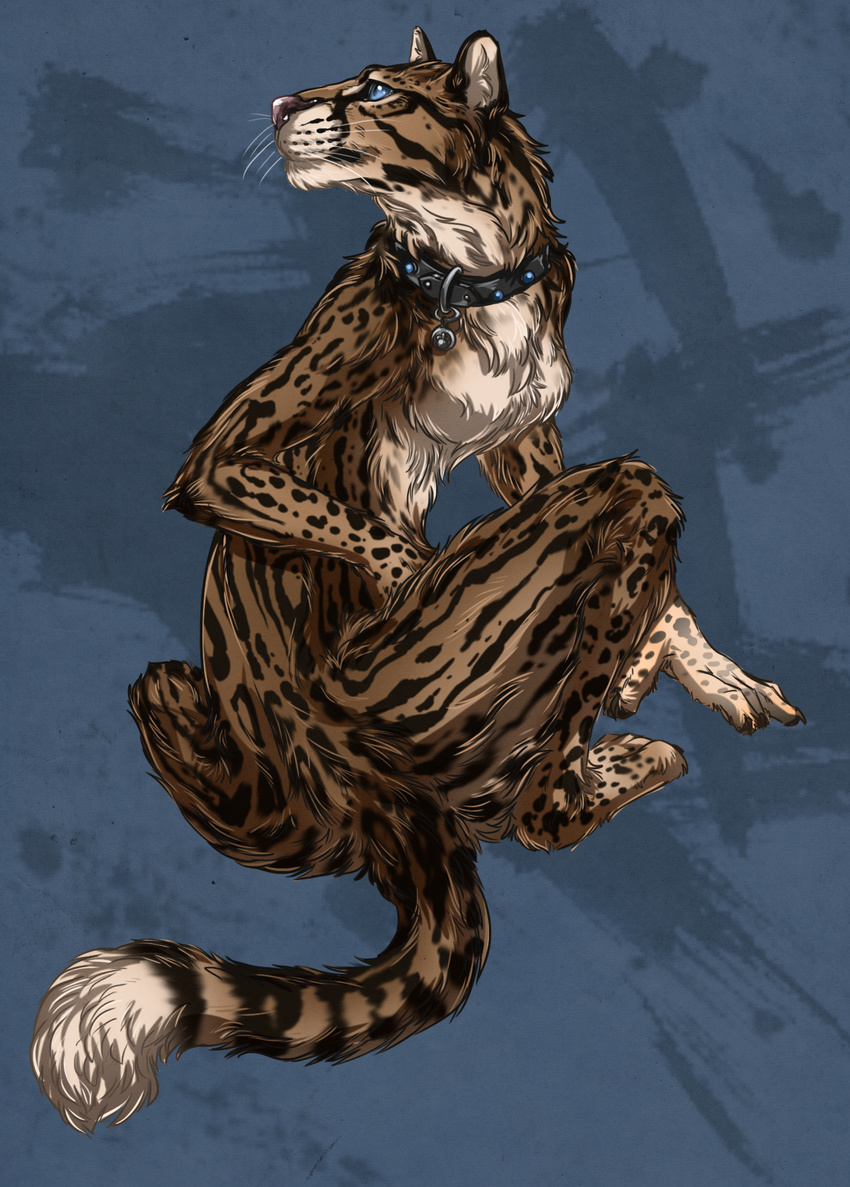 abstract_background ambiguous_gender anthro black_markings blackpassion777 blue_eyes brown_fur brown_markings collar collar_tag countershading feline fur looking_back mammal markings nude ocelot sitting solo tan_countershading