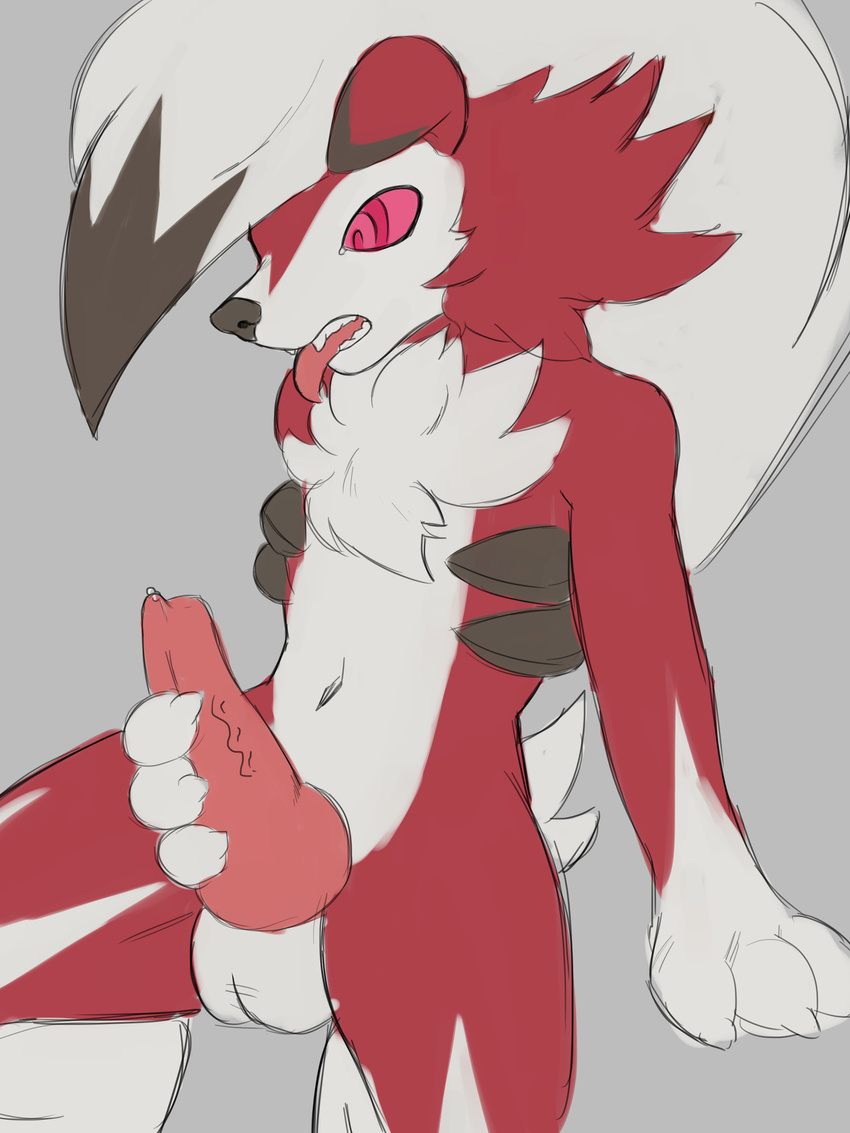 2017 animal_genitalia animal_penis anthro balls canine canine_penis digital_media_(artwork) erection fur grey_background hair hi_res jokoifu knot lycanroc male mammal masturbation midnight_lycanroc nintendo open_mouth penis pok&eacute;mon pok&eacute;mon_(species) red_eyes simple_background solo teeth toes tongue tongue_out video_games white_fur