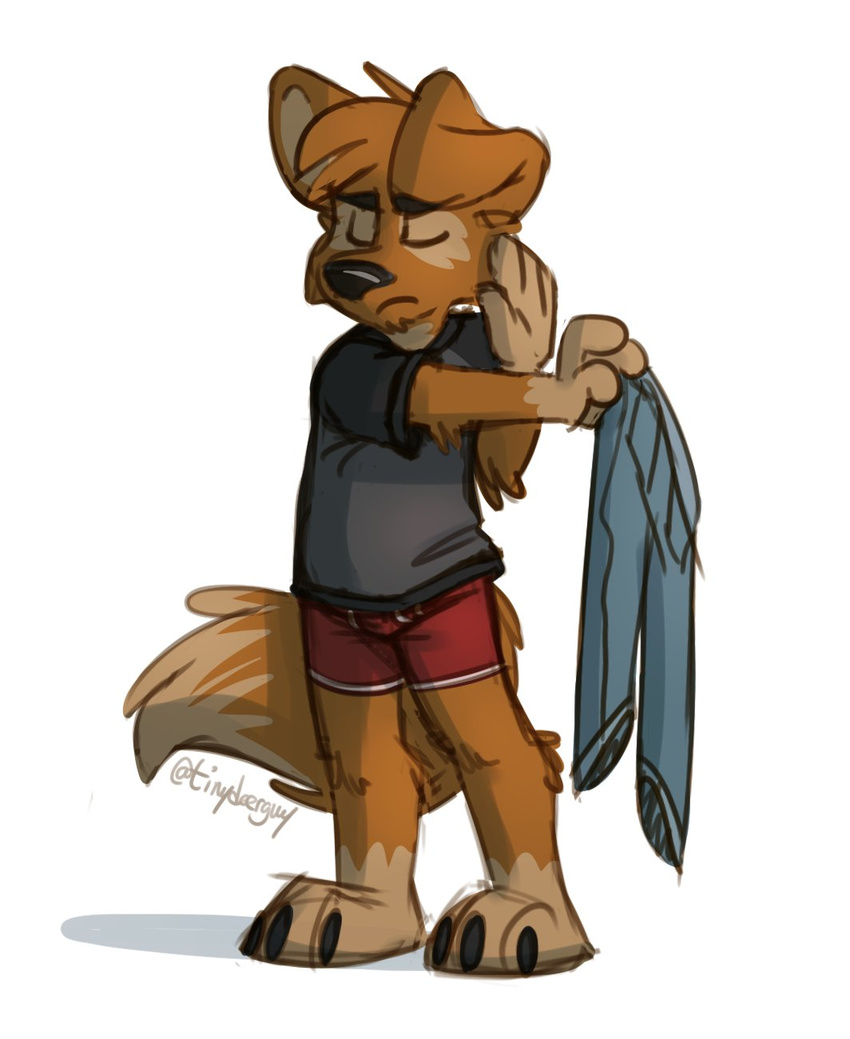 boxer_briefs canine clothing dog male mammal red_underwear shirt thesepantsdontfit tinydeerguy underwear