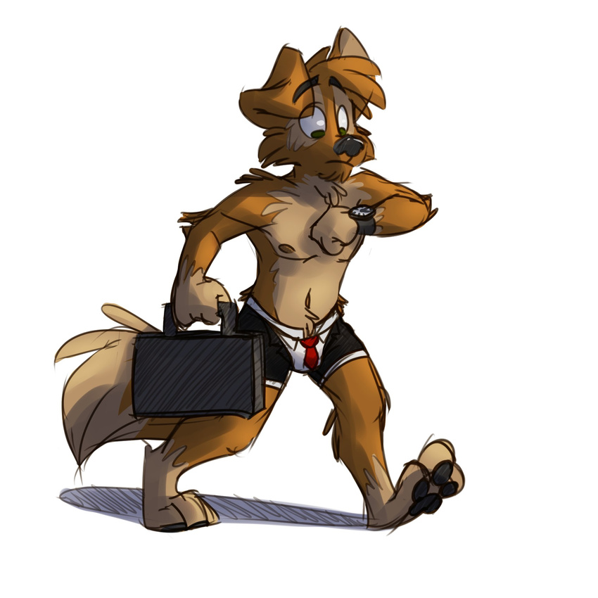 boxer_briefs briefcase canine clothed clothing dog male mammal thesepantsdontfit tinydeerguy topless underwear walking watch