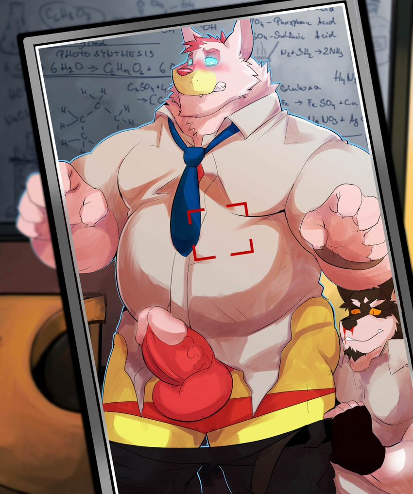 anthro assisted_exposure balls belly blood canine clothing detailed_background duo fur gloves humanoid_penis lucusold male mammal necktie nervous nosebleed obese overweight pants penis red_balls shirt thick_penis underwear watch white_fur wolf