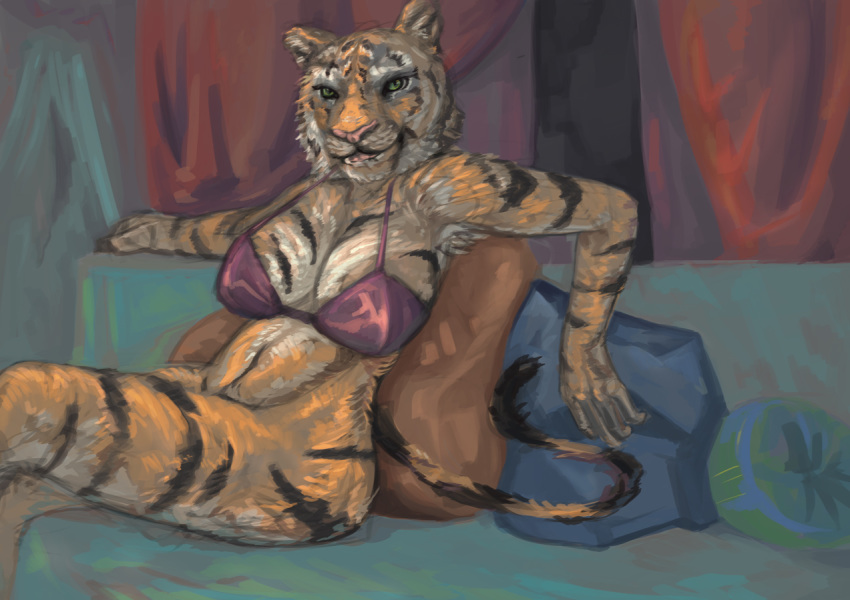 2017 5_fingers anthro big_breasts black_fur black_stripes bottomless bra breasts clothed clothing crossed_legs curtains feline feline_tail female fur green_eyes looking_at_viewer lysargente mammal orange_fur pantherine pillow pink_bra sitting slit_pupils sofa solo stripes tiger underwear white_fur