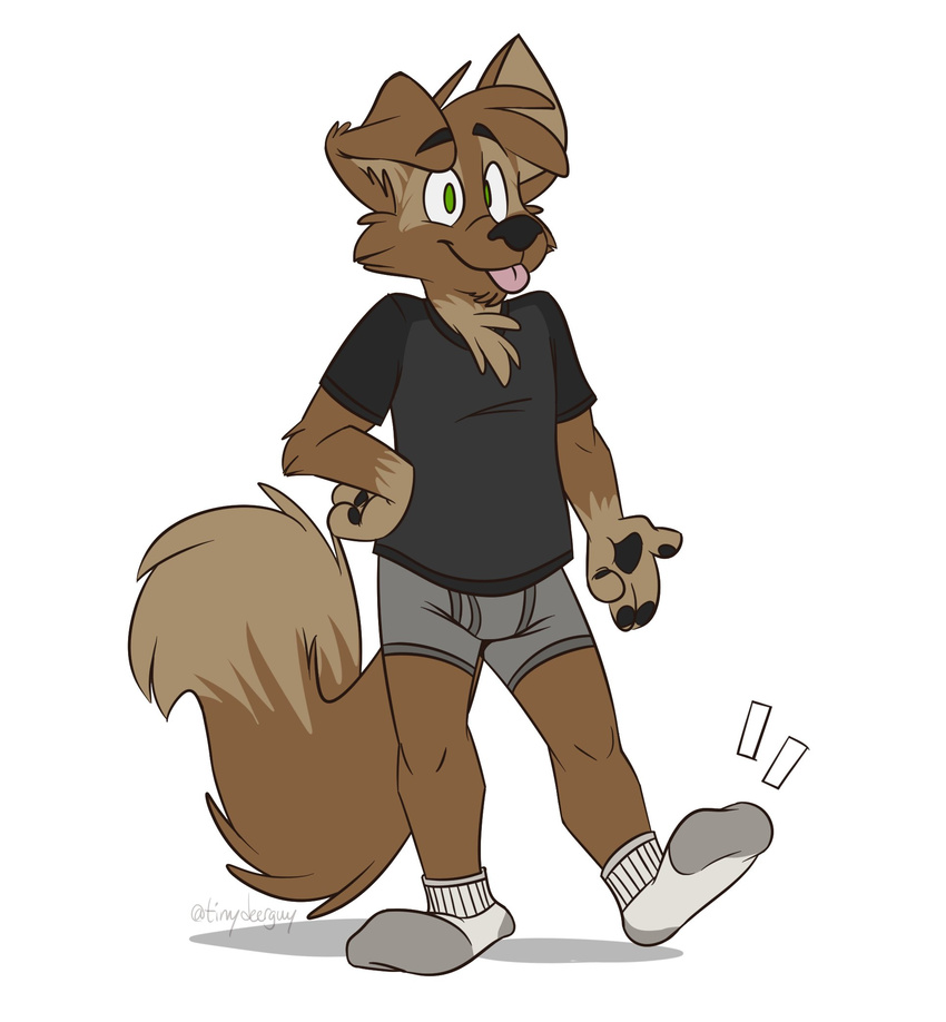 boxer_briefs canine clothing dog legwear male mammal shirt socks t-shirt thesepantsdontfit tinydeerguy underwear white_socks