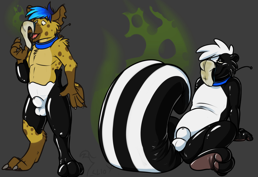 2016 3_toes 4_fingers anthro binturongboy black_nose blue_collar blue_hair brown_fur bulge claws clothing collar digital_drawing_(artwork) digital_media_(artwork) frisky-lime fur goo_transformation hair hairclaws half-closed_eyes hi_res hyena liquid_latex male mammal multicolored_fur multicolored_tail musk nude open_mouth rubber sequence shiny simple_background sitting skunk smelly solo spotted_hyena standing striped_tail stripes tan_fur toe_claws toes transformation underwear underwear_sniffing white_hair