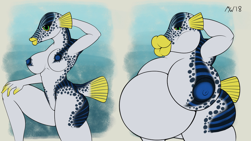 2018 anthro belly big_belly big_breasts big_butt breast_expansion breasts butt digital_media_(artwork) female fish hi_res huge_breasts huge_lips inflation lips marine mxwqtkl nipples nude pufferfish simple_background solo