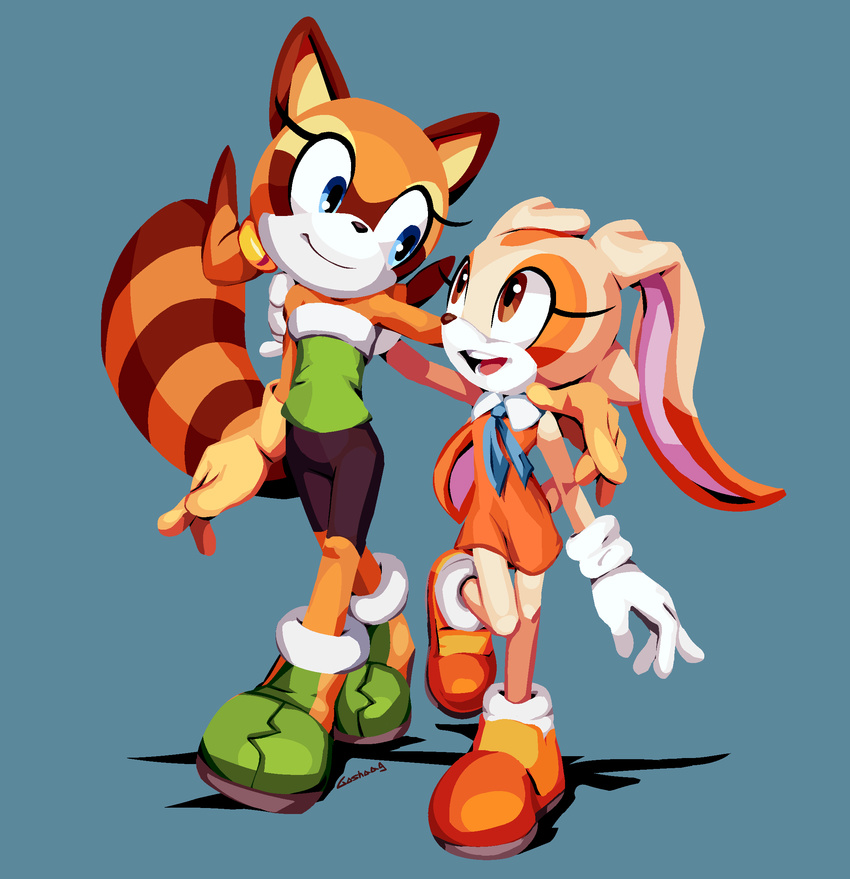 2018 anthro blue_eyes clothed clothing cream_the_rabbit duo female footwear goshaag lagomorph mammal marine_the_raccoon procyonid rabbit raccoon shoes sonic_(series) young