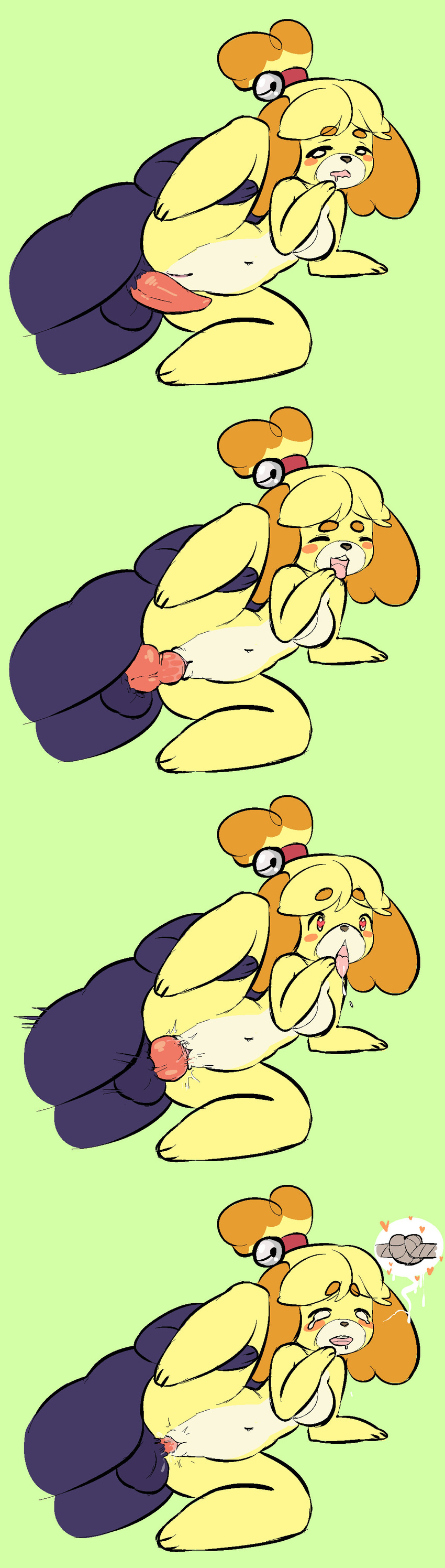 animal_crossing anthro blush breasts cum cum_drip cum_in_pussy cum_inside digital_media_(artwork) dripping female from_behind_(disambiguation) happy happy_sex isabelle_(animal_crossing) knot knotting male male/female mammal nintendo nude open_mouth penetration penis pussy sex simple_background tinynasties_(artist) vaginal vaginal_knotting vaginal_penetration video_games