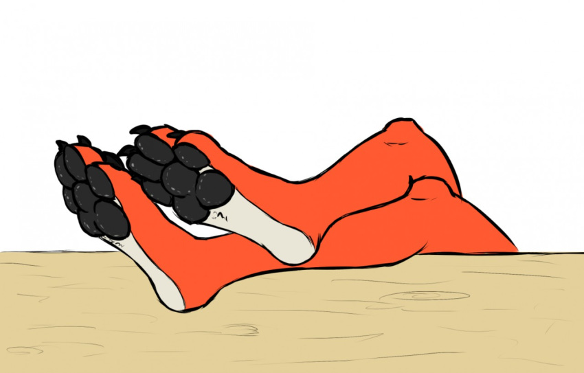canine feet female foot_focus fox mammal pads_(disambiguation) paws relaxation soles sweat tired