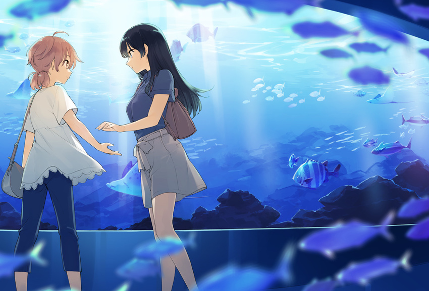 ahoge animal aquarium arm_at_side backpack bag bangs beckoning black_hair blouse blue_eyes blue_pants blue_shirt blurry breasts brown_eyes brown_hair capri_pants commentary_request cover_image depth_of_field eye_contact fish from_side grey_shorts koito_yuu light_rays long_hair looking_at_another low_twintails medium_breasts multiple_girls nakatani_nio nanami_touko official_art open_hand orange_eyes orange_hair outstretched_hand pants profile school_of_fish shirt short_hair short_sleeves short_twintails shorts shoulder_bag standing stingray twintails white_blouse yagate_kimi_ni_naru yuri