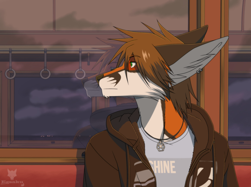 2017 anthro brown_fur brown_hair canine clothed clothing ear_piercing egsaku egsaku_(character) eyebrows fox fully_clothed fur green_eyes hair hi_res hoodie jewelry looking_aside male mammal multicolored_fur necklace orange_fur piercing reflection shirt sitting solo train two_tone_fur vehicle white_fur