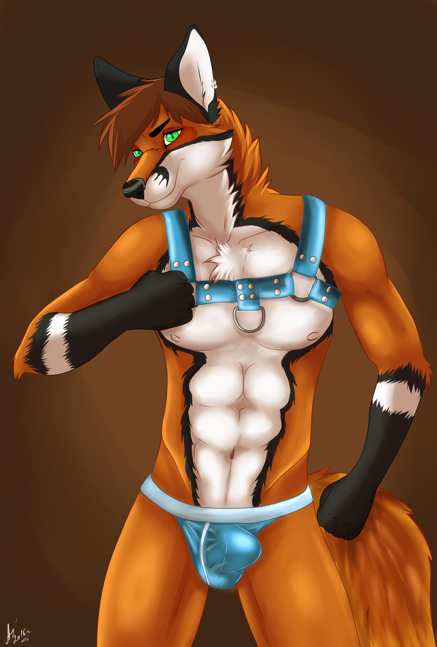 2016 abs absurd_res anthro black_fur black_nose brown_hair bulge canine cinta clothed clothing egsaku_(character) fist fox fur girly gloves_(marking) green_eyes hair harness hi_res looking_at_viewer male mammal markings multicolored_fur muscular nipples orange_fur skimpy slit_pupils smile solo standing tight_underwear underwear white_fur
