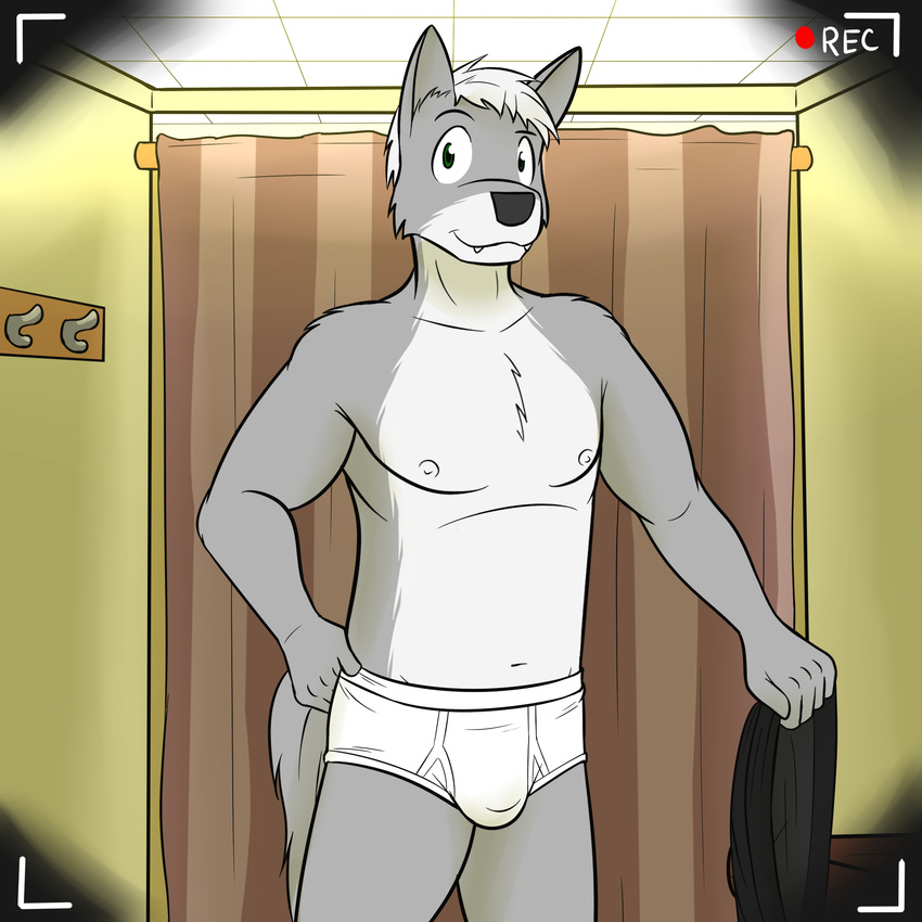 anthro black_clothing briefs bulge canine clothing fitting_room fuze holding_clothes inside male mammal solo tighty_whities underwear white_underwear wolf