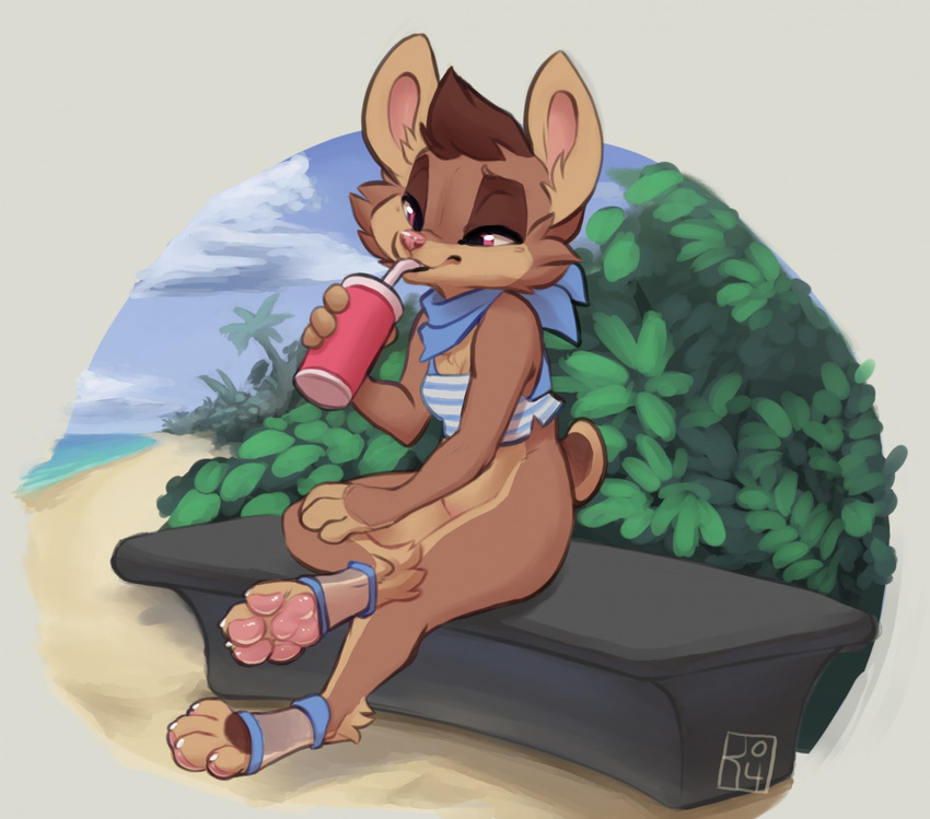 anthro bandanna beach bench bottomless brown_fur brown_hair canine clothed clothing cloud cup dog drinking female fur hair mammal pawpads pink_eyes plant reign-2004 sea seaside sky solo spats straw tan_fur water