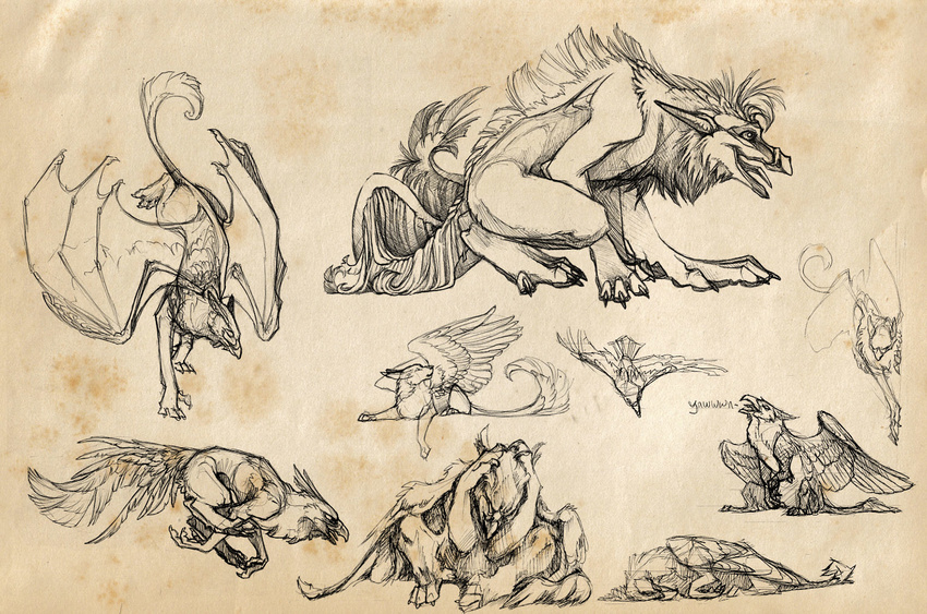 2010 ambiguous_gender avian beak bird canine claws climbing crouching eyes_closed feathered_wings feathers feral group gryphon jumping looking_back lying mammal mane membranous_wings multiple_images multiple_poses novawuff on_hind_legs open_mouth pawpads pose relaxing running sad simple_background sketch tail_feathers tail_tuft textured_background toe_claws tongue tongue_out tuft wings wolf yawn