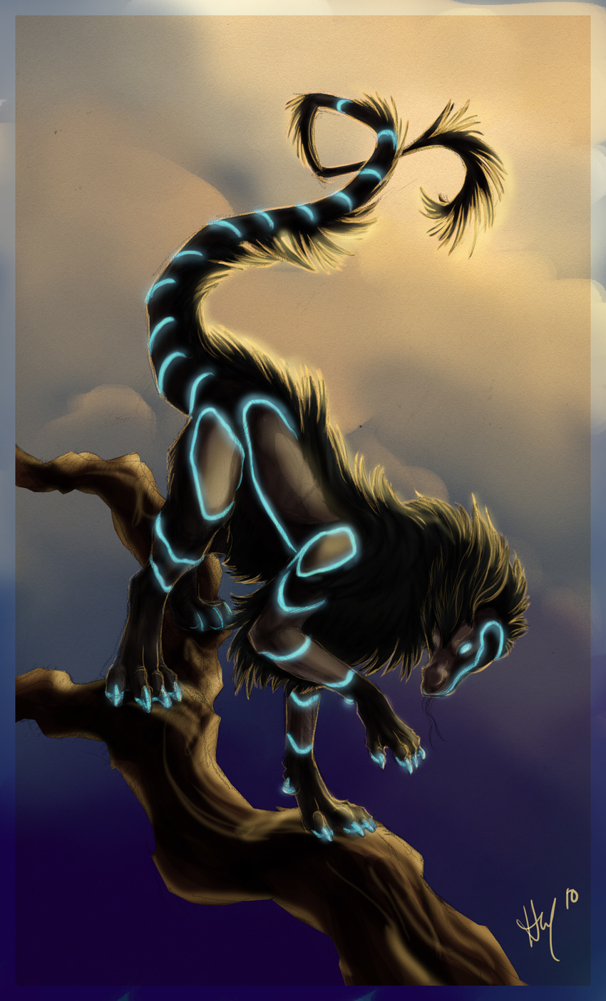 2010 ambiguous_gender black_body black_fur black_hair blue_claws blue_eyes blue_markings branch claws cloud detailed_background dragon feral forked_tongue fur furred_dragon glowing glowing_claws glowing_eyes glowing_markings hair long_tongue looking_back markings novawuff on_branch one_leg_up outside scalie sketch solo standing tail_tuft tongue tongue_out tuft