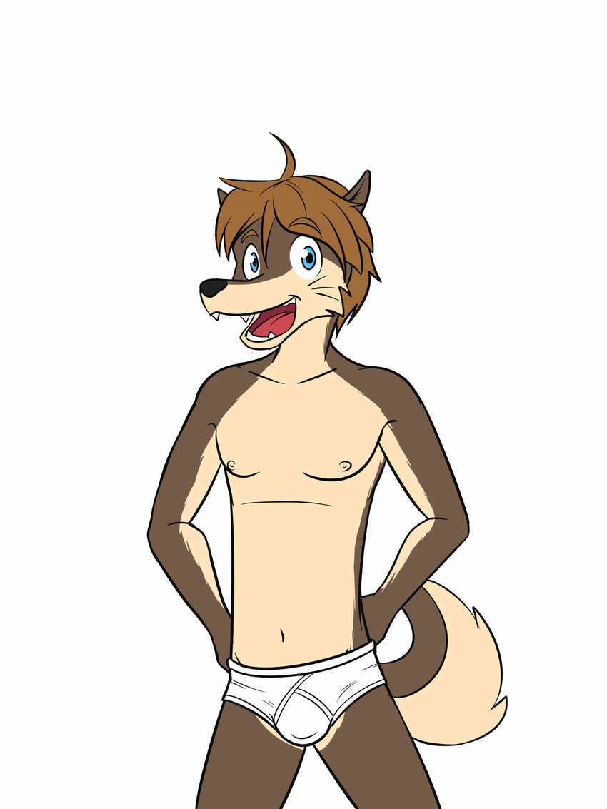 blue_eyes briefs brown_hair bulge canine clothed clothing fuze hair mammal morenatsu nipples open_mouth shun_(morenatsu) simple_background smile teeth tighty_whities topless underwear white_background white_underwear wolf