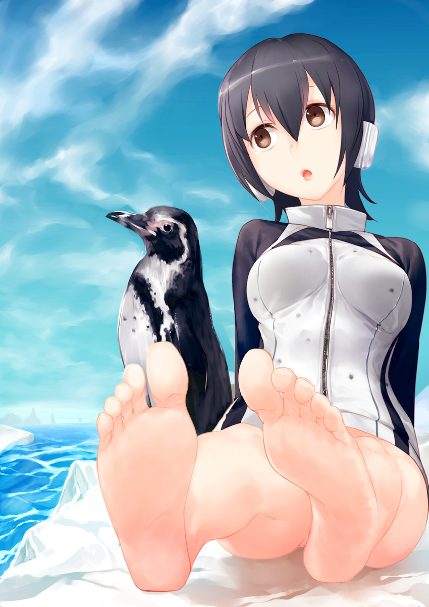 feet humboldt_penguin kemono_friends pino_(artist) tagme