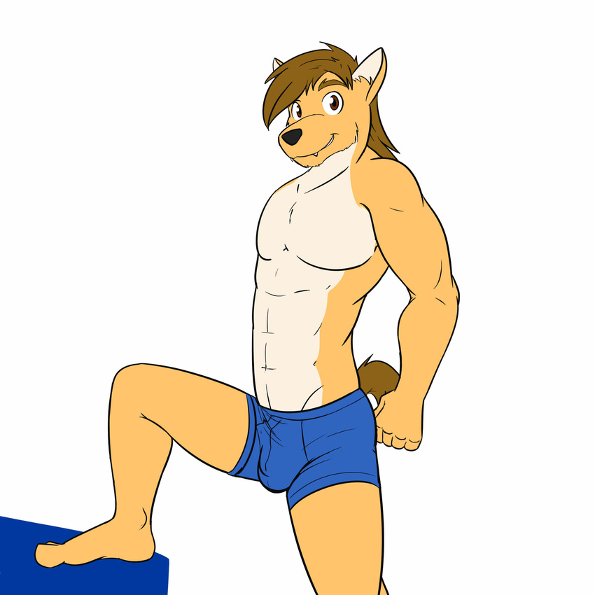 anthro barefoot black_nose blue_underwear brown_hair bulge canine clothed clothing coyote digital_media_(artwork) fuze hair happy male mammal mond_reyes simple_background smile solo topless underwear white_background