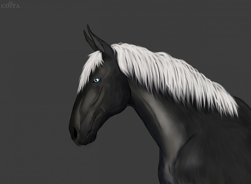 2018 ambiguous_gender black_background black_skin blue_eyes cinta equine feral grey_skin hair horse mammal multicolored_skin side_view simple_background slit_pupils solo standing two_tone_skin white_hair