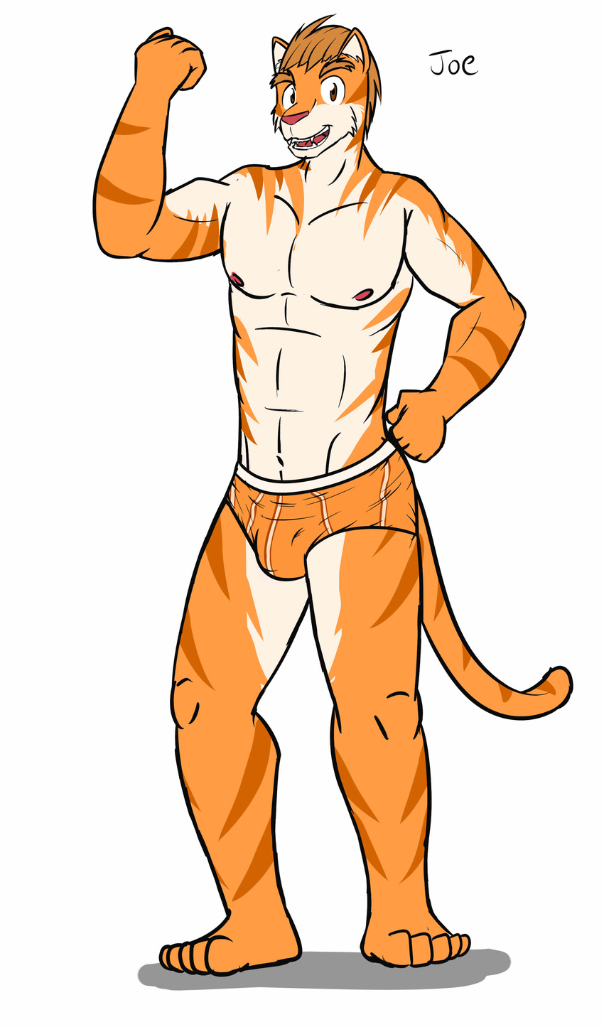 anthro bulge character_name clothed clothing feline fuze joe_(fuze) male mammal muscular muscular_male solo texnatsu tiger topless underwear