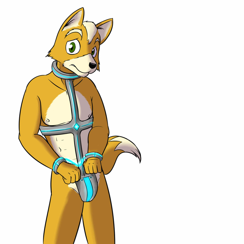 anthro bdsm bondage bound canine fox fox_mccloud fuze male mammal nintendo simple_background solo star_fox video_games white_background